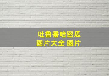 吐鲁番哈密瓜图片大全 图片